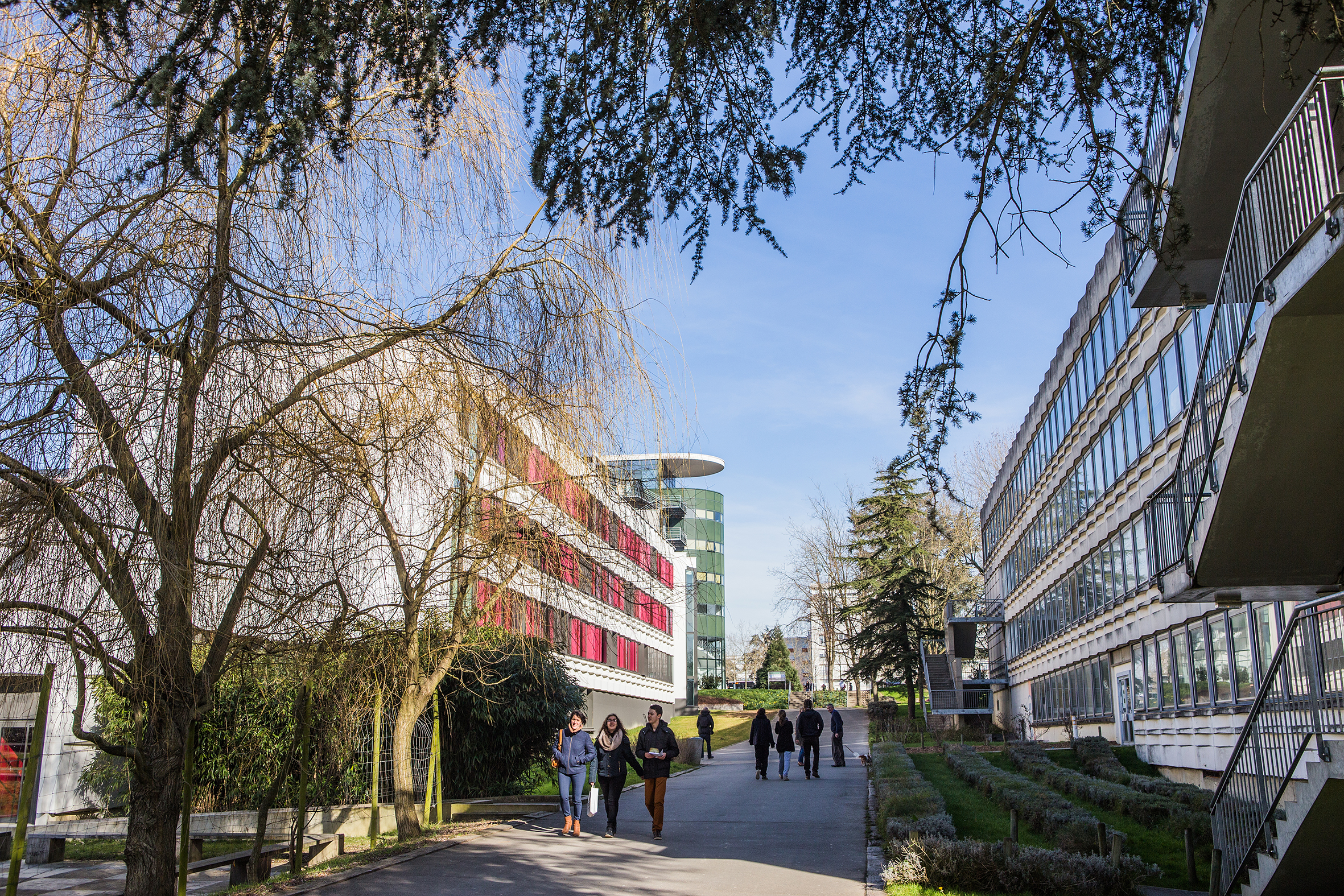 Campus Rennes Erasmus+ favorise la mobilité universitaire entre Rennes 2 et ses ...