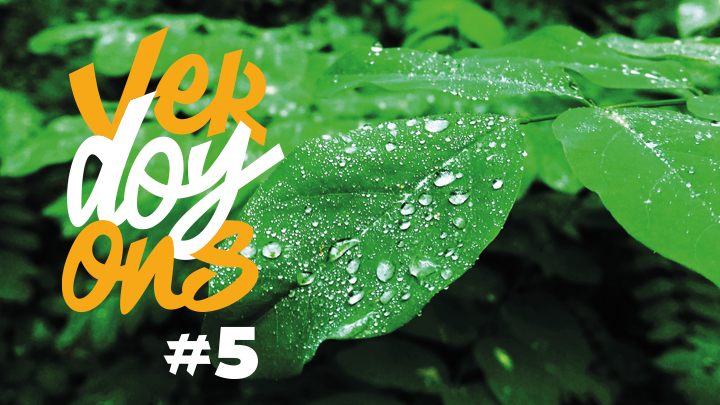 Affiche verdoyons 2025