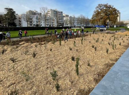 Photo de la micro-forêt, devant la passerelle du bâtiment B