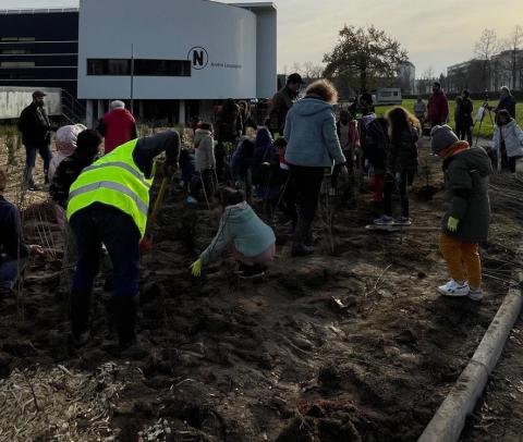 Photo des personnes en cours de plantation