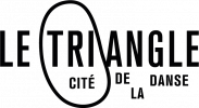 Logo Le Triangle