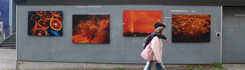 Photo de l'Expo plein air - Étoile rétine de Marguerite Bornhauser